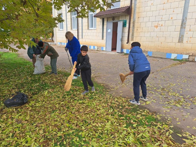 Чистота своими руками